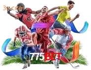 sport 775bet