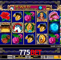 775bet Salvador - Bonus Stats